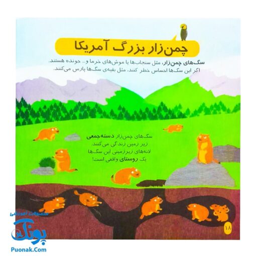 کتاب دایره المعارف کوچک من درباره جانوران دنیا