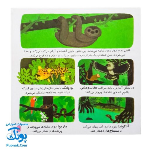کتاب دایره المعارف کوچک من درباره جانوران دنیا