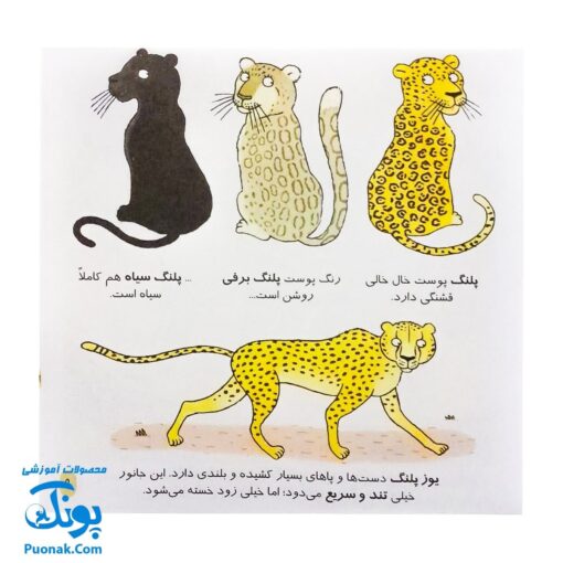 کتاب دایره المعارف کوچک من درباره ی باغ وحش