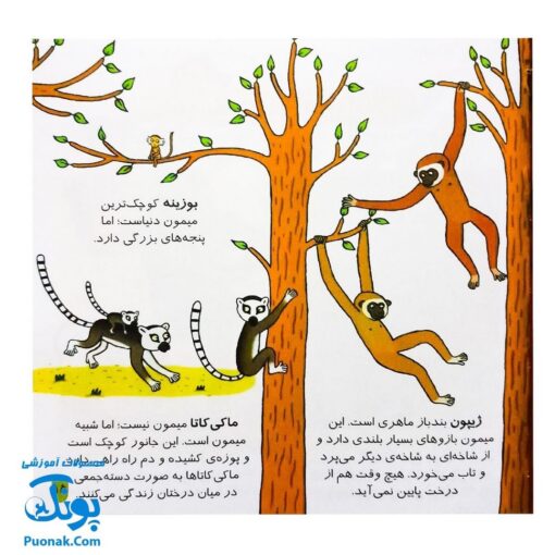 کتاب دایره المعارف کوچک من درباره ی باغ وحش