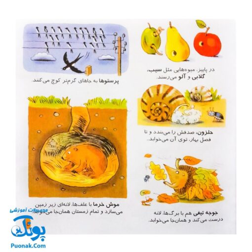 کتاب دایره المعارف کوچک من درباره ی فصل ها