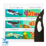 کتاب دایره المعارف کوچک من درباره دلفین ها و وال ها