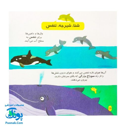 کتاب دایره المعارف کوچک من درباره دلفین ها و وال ها
