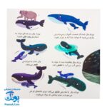 کتاب دایره المعارف کوچک من درباره دلفین ها و وال ها