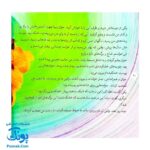 کتاب ۸ قصه از امام جواد (ع) برای بچه ها (همراه با معصومین ۱۱)
