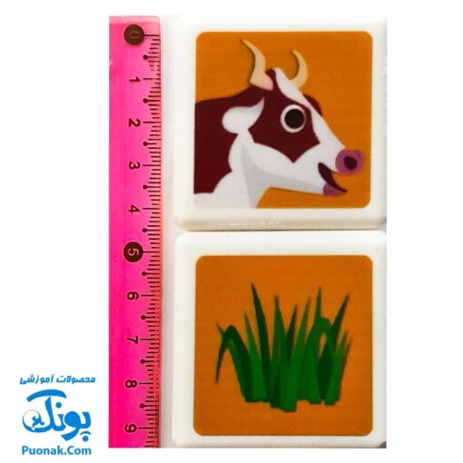 مکعب های مغناطیسی دو تایی حیوان و غذا