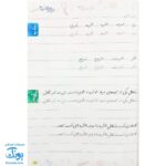 کتاب خوش خطی چهارم دبستان خیلی سبز (کتابی برای رهایی از خرچنگ ها و قورباغه ها)