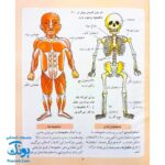 کتاب دایره المعارف کودکان از مجموعه کتاب های مرجع