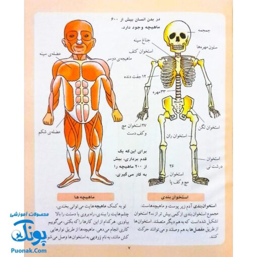 کتاب دایره المعارف کودکان از مجموعه کتاب های مرجع