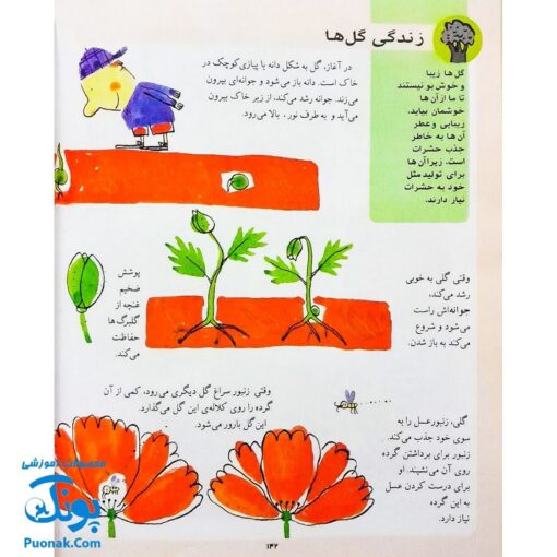 کتاب دایره المعارف کودکان از مجموعه کتاب های مرجع