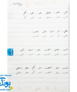کتاب خوش خطی پنجم دبستان خیلی سبز (کتابی برای رهایی از خرچنگ ها و قورباغه ها)