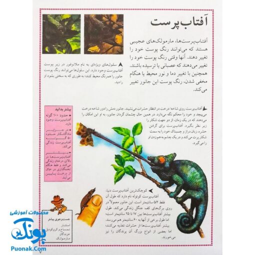 کتاب مرجع کودک و نوجوان ۵ : نخستین اطلس جانوران