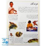 کتاب مرجع کودک و نوجوان ۵ : نخستین اطلس جانوران