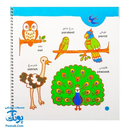 کتاب فرهنگ مصور خردسالان مجموعه ۴ جلدی انگلیسی فارسی (وسایل نقلیه، مکان های عمومی، انسان و طبیعت، ابزارهای زندگی)