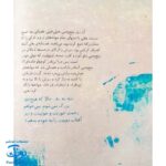 کتاب مجموعه روزهایی که پنج وجبی یک زرافه کوچولوی کوچولو بود جلد سوم ۳ خاله جان دلسوز