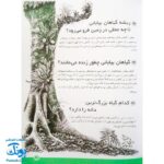 کتاب ۳۶۵ پرسش و پاسخ علمی برای بچه ها (اطلاعات عمومی، جهان طبیعت، بدن انسان و علم و فن آوری)