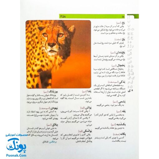 کتاب فرهنگ فارسی بچه‌های امروز (برای کودکان ۹ تا ۱۲ سال)