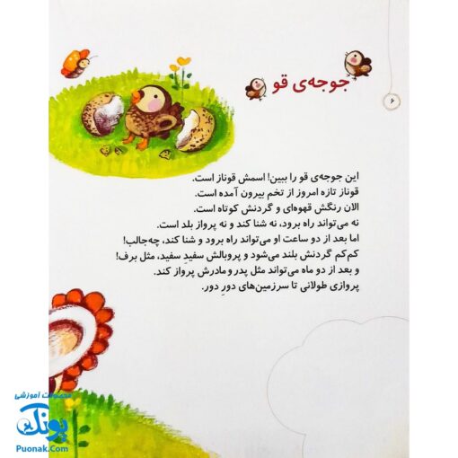 مجموعه کتاب خدای ما چه جوریه؟ ۱۲ کوچولوها را بزرگ می کند
