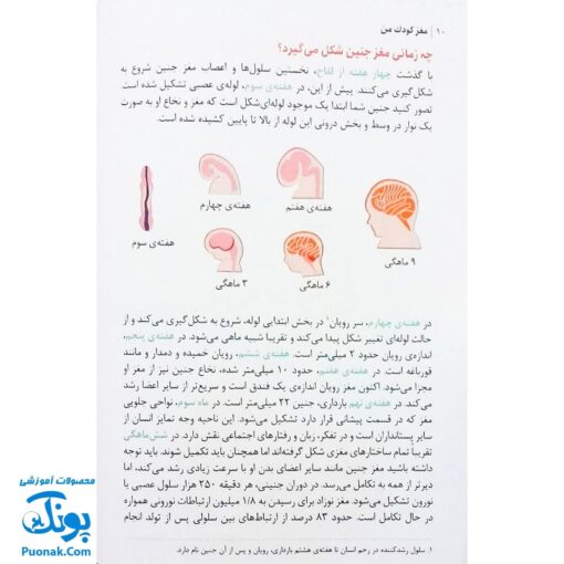 کتاب مغز کودک من (از بارداری تا یک سالگی) - مهرسا