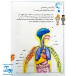 کتاب چراهای شگفت‌انگیز : بدن انسان (پاسخ به سوال های کودکان و نوجوانان)