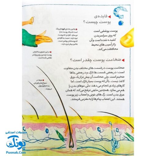 کتاب چراهای شگفت‌انگیز : بدن انسان (پاسخ به سوال های کودکان و نوجوانان)
