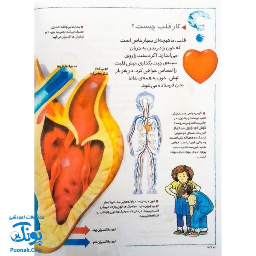 کتاب چراهای شگفت‌انگیز : بدن انسان (پاسخ به سوال های کودکان و نوجوانان)