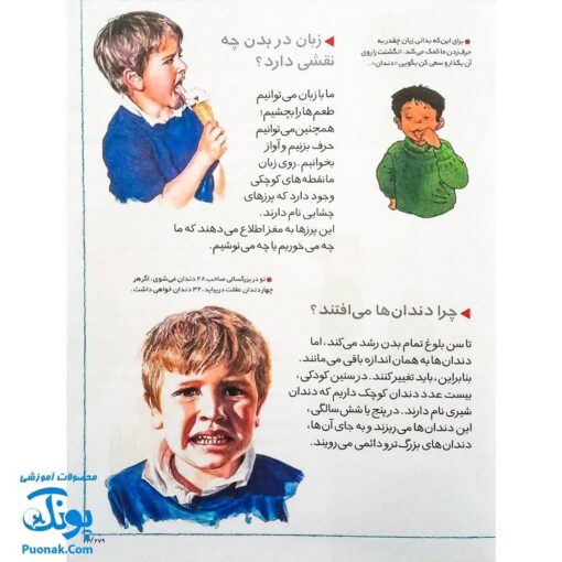 کتاب چراهای شگفت‌انگیز : بدن انسان (پاسخ به سوال های کودکان و نوجوانان)