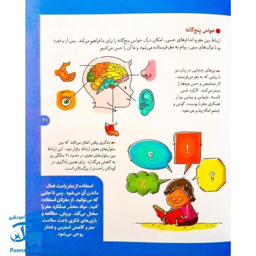 کتاب دایره المعارف بهداشت و کمک های اولیه (یادگیری اصول اصول و قواعد صحیح بهداشتی و درمانی)