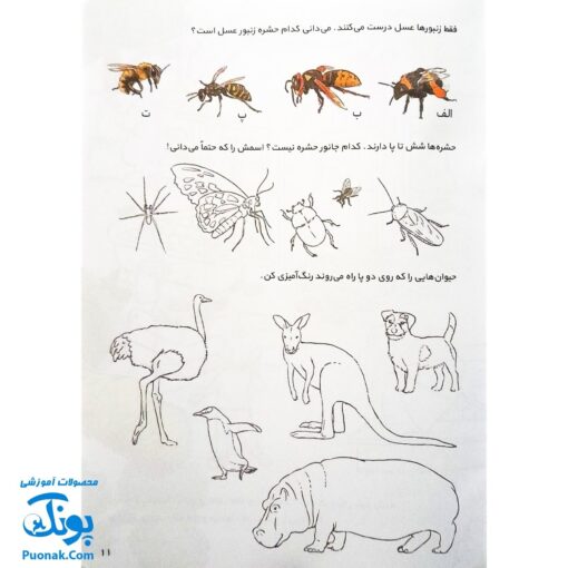 کتاب کار کانی کوچولو ۴ : با بازی های بامزه یاد بگیر : تمرین های سرگرم کننده، تجربه های مهد کودکی، کارت بازی (برای پیش دبستانی و سال های اول و دوم)
