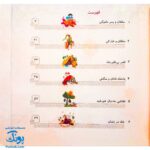 کتاب مجموعه قصه های قشنگ و قدیمی جلد ۱۲ دوازدهم ۱۲ قصه از منطق الطیر عطار نیشابوری