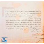 کتاب مجموعه قصه های قشنگ و قدیمی جلد ۱۲ دوازدهم ۱۲ قصه از منطق الطیر عطار نیشابوری