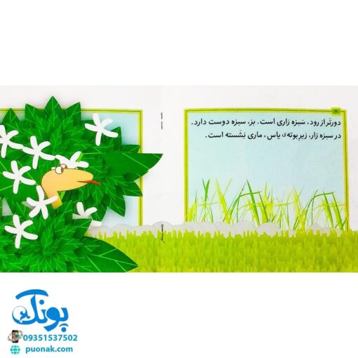 کتاب مجموعه قصه های بی بی رعنا همگام با کلاس اولی ها جلد ۱ شام امشب بز، سبزه نیست (تقویت روان خوانی و املا)