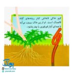 کتاب مجموعه قصه های بی بی رعنا همگام با کلاس اولی ها جلد ۸ قورقوری دیگر آواز نمی خواند (تقویت روان خوانی و املا)