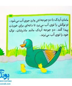 کتاب مجموعه قصه های بی بی رعنا همگام با کلاس اولی ها جلد ۳ از جوی آب نترس جوجه اردک! (تقویت روان خوانی و املا)