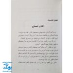 کتاب فردی فرفره ۲ (استاد ببین و بگو)