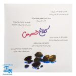 کتاب نهج البلاغه برای کودکان (بارون می آد)