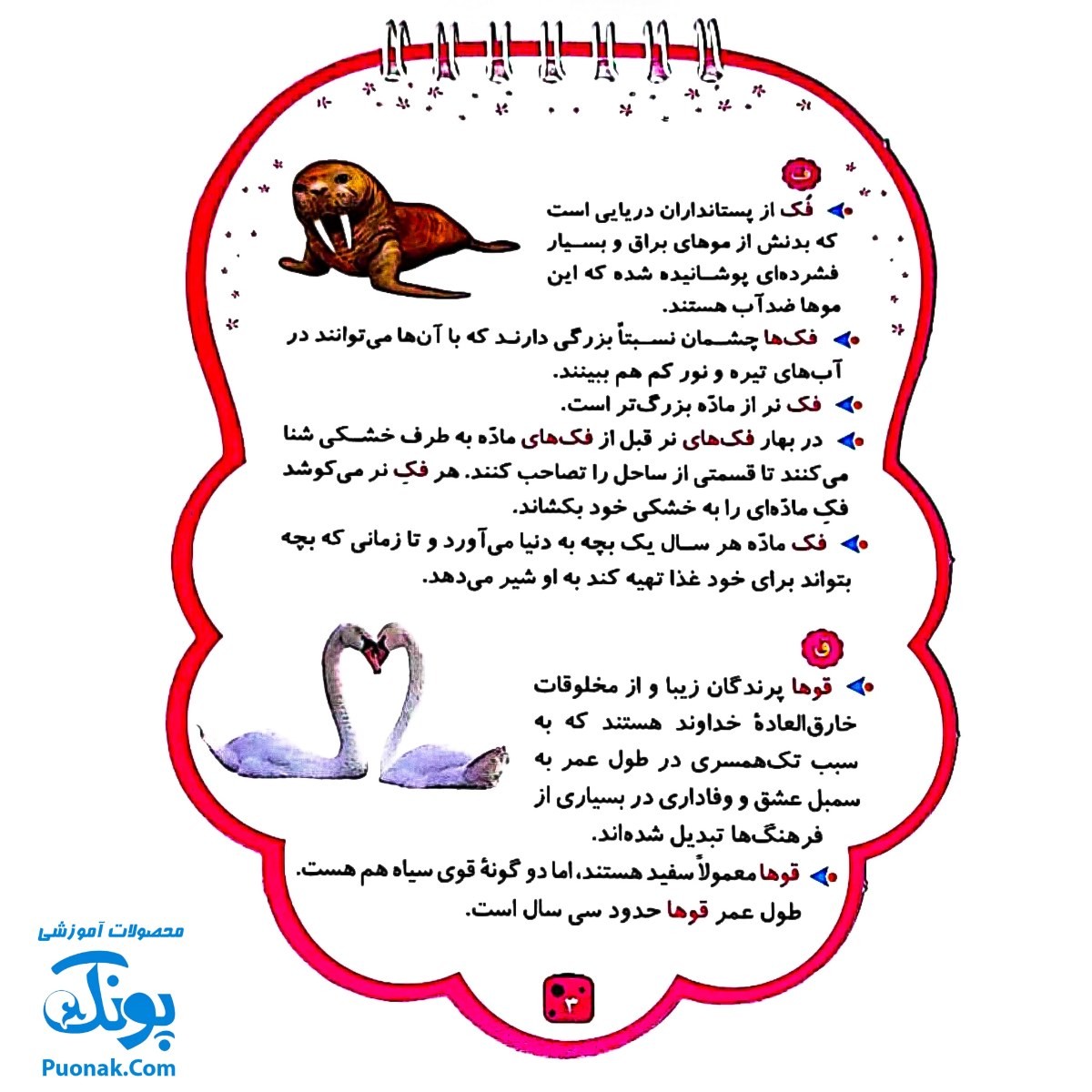 کتابک پیک دنیای حیوانات ۲ (دانستنی هایی از حیوانات)