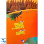 کتاب لاک‌پشت پرنده (مجموعه قصه نمایش کودکان)