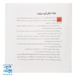 کتاب قصه های جوهای عاقل | مجموعه قصه‌های طنز |