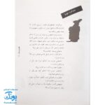 کتاب قند و نمک