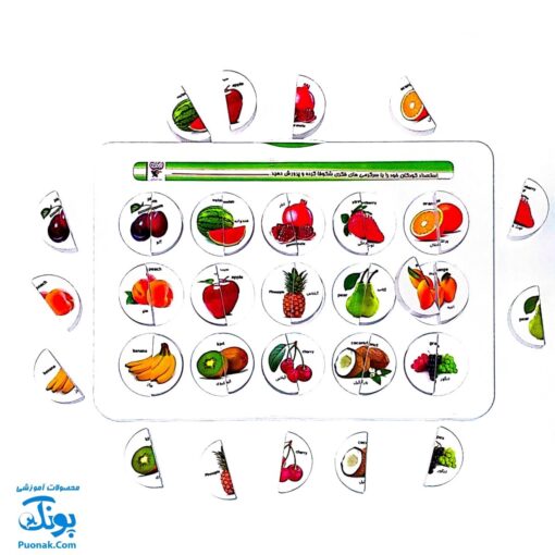 هوش چین مجموعه دو تکه مدل زاغک