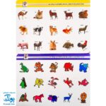 هوش چین مجموعه دو تکه مدل زاغک