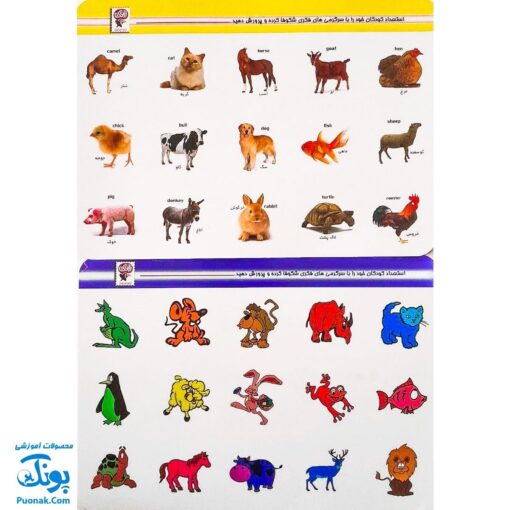 هوش چین مجموعه دو تکه مدل زاغک