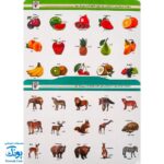 هوش چین مجموعه دو تکه مدل زاغک