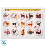هوش چین مجموعه دو تکه مدل زاغک