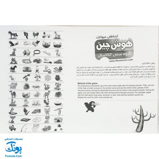 هوش چین ارتباطی حیوانات زاغک (آموزش حیوانات به کودکان از طریق بازی و سرگرمی)