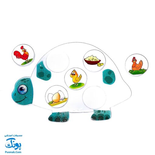 هوش چین ارتباطی حیوانات زاغک (آموزش حیوانات به کودکان از طریق بازی و سرگرمی)