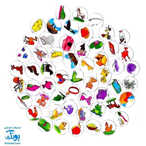 هوش چین ارتباطی حیوانات زاغک (آموزش حیوانات به کودکان از طریق بازی و سرگرمی)