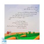 کتاب چرا خدا چنین کرد مجموعه ۶ جلدی سلفون