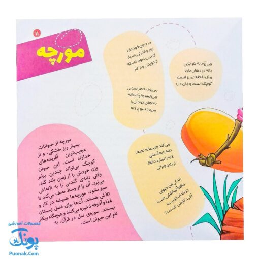 کتاب دیدنی های خدا ۱ این جهان کار خداست